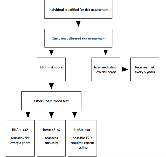 A flowchart of a patient's risk assessment
AI-generated content may be incorrect.