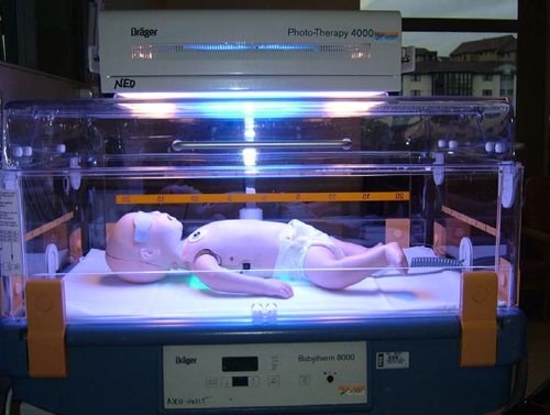 Figure 1 photograph
