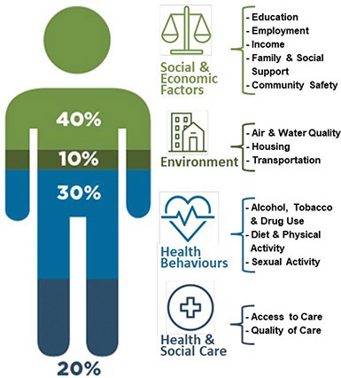 Human outline showing the modifiable determinants of health. These are split into 4 areas of 40% social & economic factors, 10% environment, 30% health behaviours and 20% input from health and social care services. These four areas are further sudivided to show contributing sources.