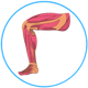 decorative image